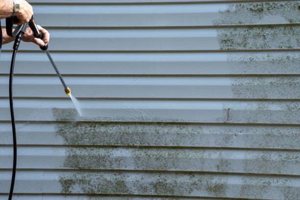 Affordable Siding Repair and Maintenance Services in Stonebridge, NJ